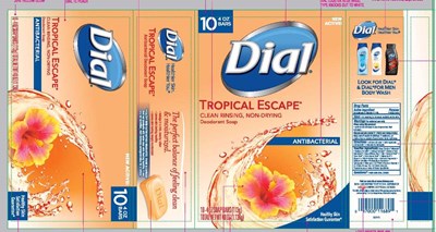 tropical escape.jpg tropical escape soap - tropical escape